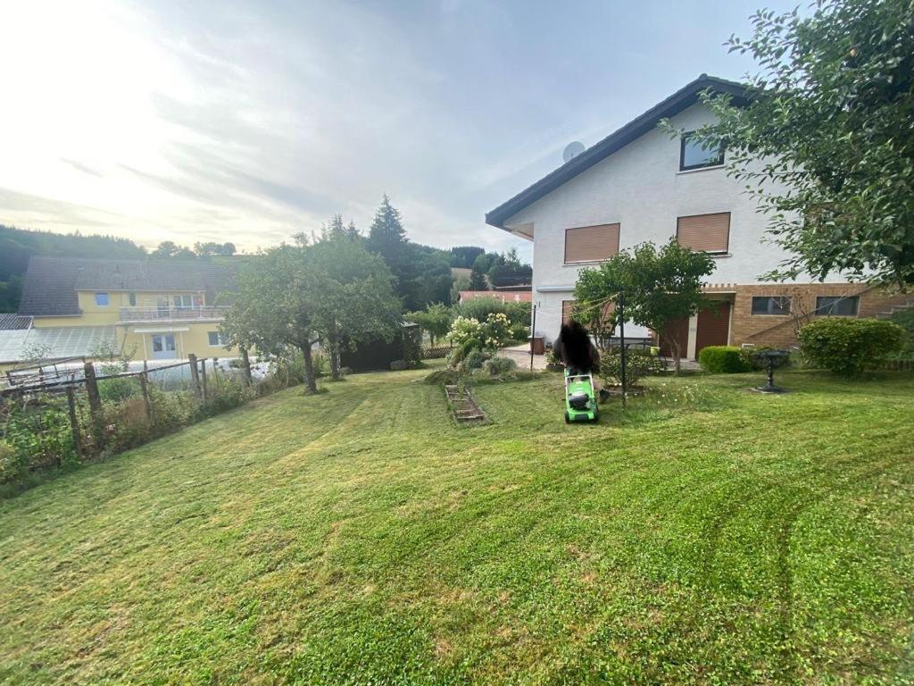 Ferien- Und Monteurwohnung Zum Waldblick Exterior photo